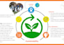 design professional corporate presentations, training ppts, and elearning